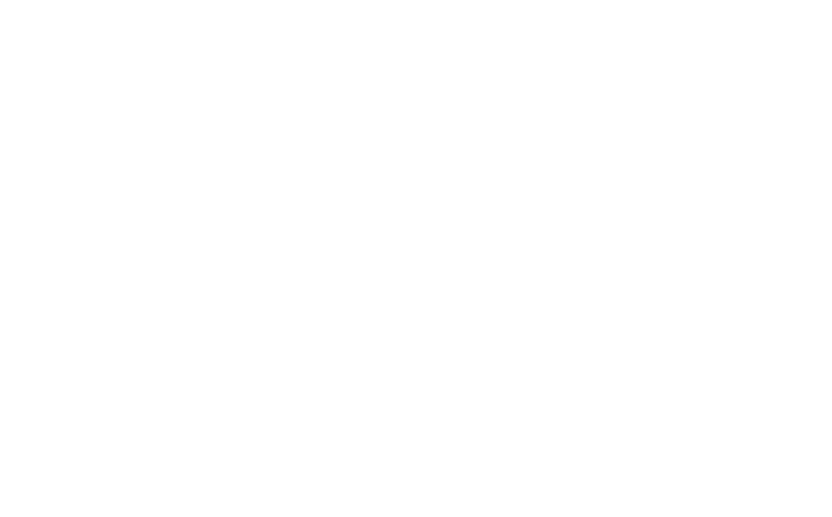 2020 ACTIVO INVEST